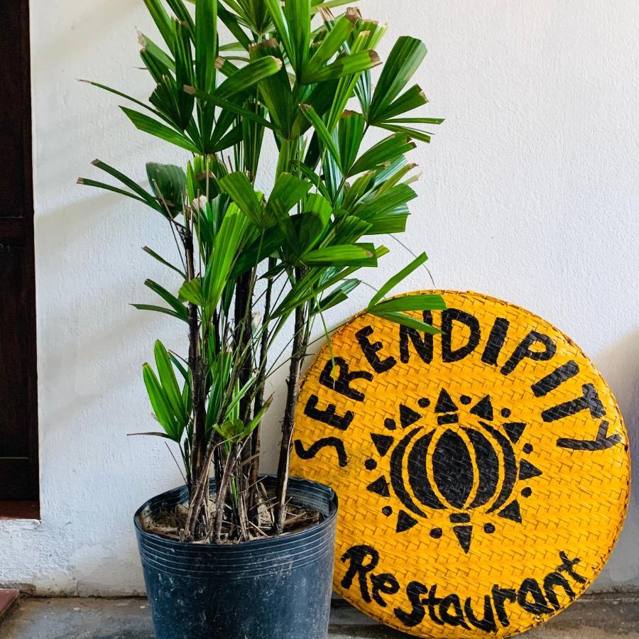 Serendipity Hoi An Hostel Exteriér fotografie